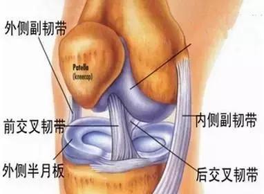 想踢球踢得又高又远,踢球的时候保护膝盖绷带