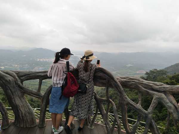 呀诺达热带雨林公园票价,呀诺达热带雨林景区官网