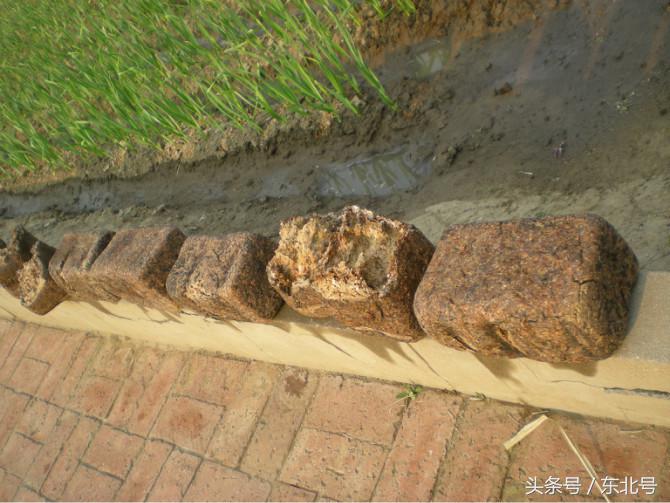 正宗东北大酱教程,南方人尝试下东北大酱