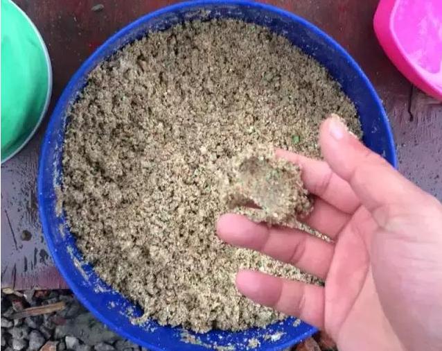 黑坑盛宴完整版,黑坑盛宴分解