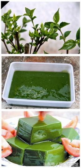 大别山深处的绝美山珍!