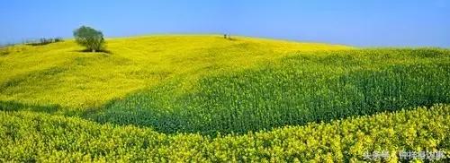 一封辞职信火遍长春,又一封辞职信刷爆朋友圈