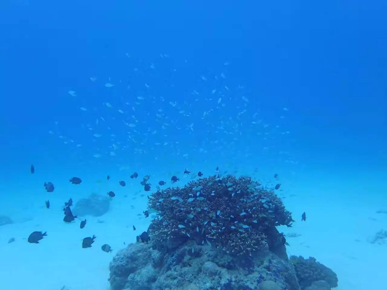 weekendescape什么意思,weekendescape