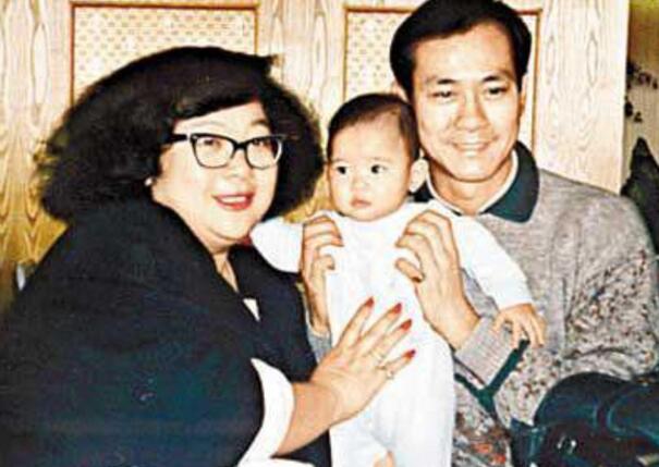 张柏芝王菲谁好看,张柏芝沈殿霞电影