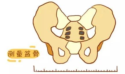 整个孕期所有产检的详细的书,产检全攻略快收藏起来
