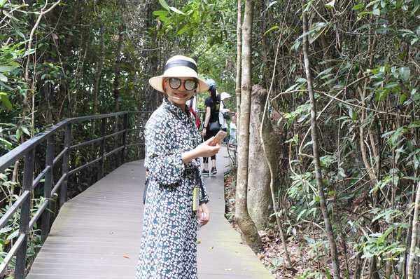 呀诺达热带雨林公园票价,呀诺达热带雨林景区官网