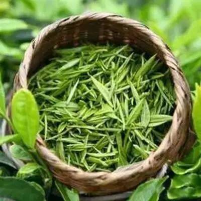 婺源县绿茶,婺源绿茶老字号