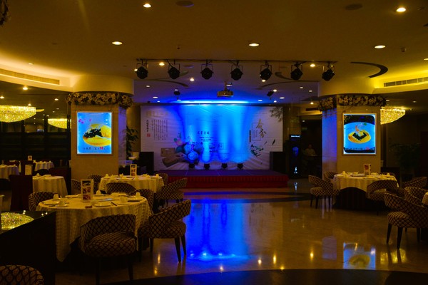 王子饭店海景,王子饭店的视频