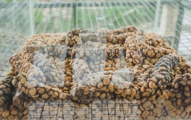 巴厘岛自由行5日游,巴厘岛天堂之旅