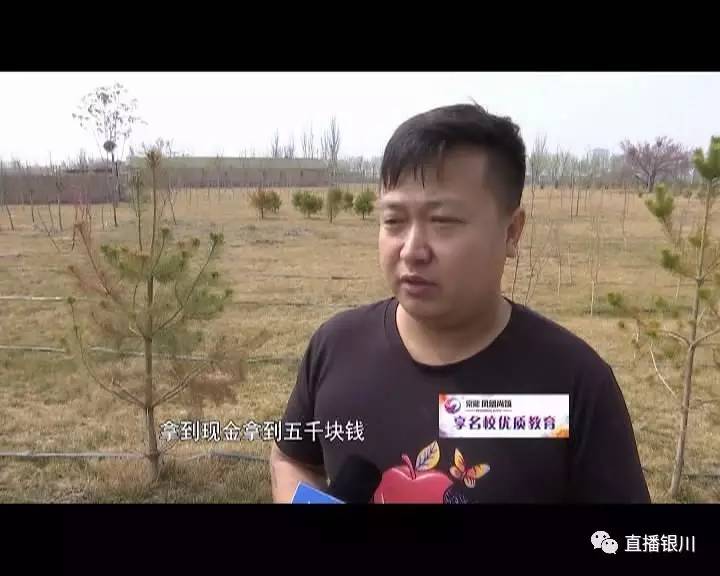 宁夏人请注意，这家电商的免首付购车、高额返利等全是套路！