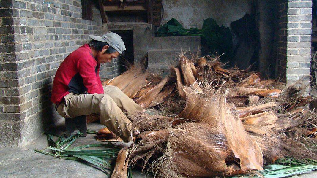 农业创业100个好项目,10个农业全产业链模式