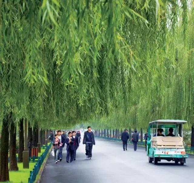 一天游西湖攻略,怎样游西湖十景