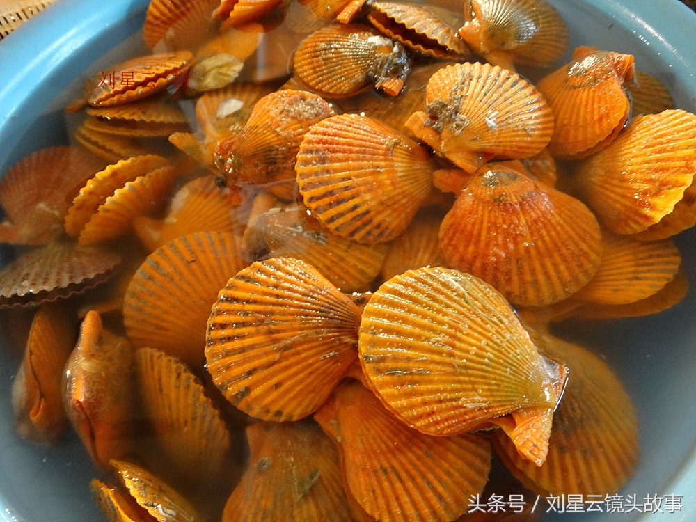 三亚哪里海鲜市场的品种多,三亚海鲜品种大全及介绍