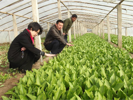 合作社执照哪个银行贷款,合作社有什么贷款产品