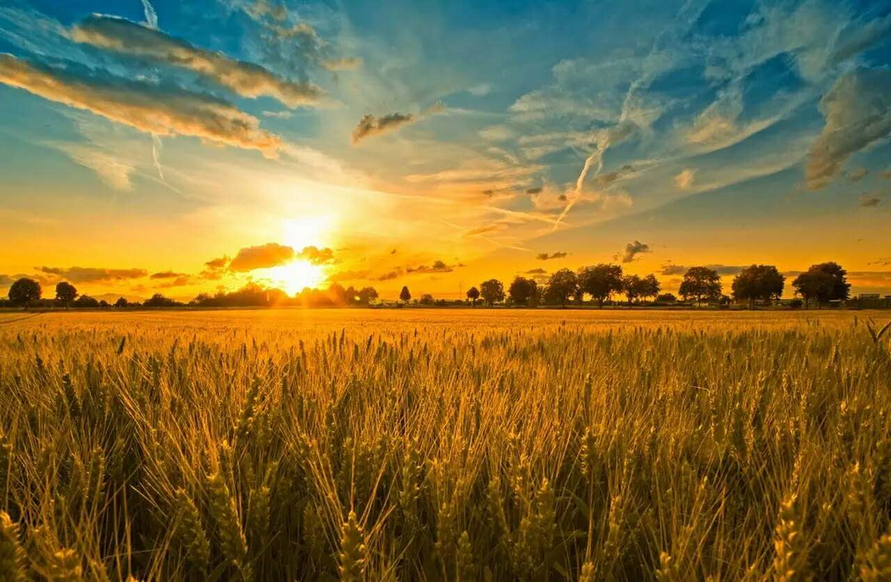 心理咨询概念对象类型的深入理解,心理咨询的概念名词解释