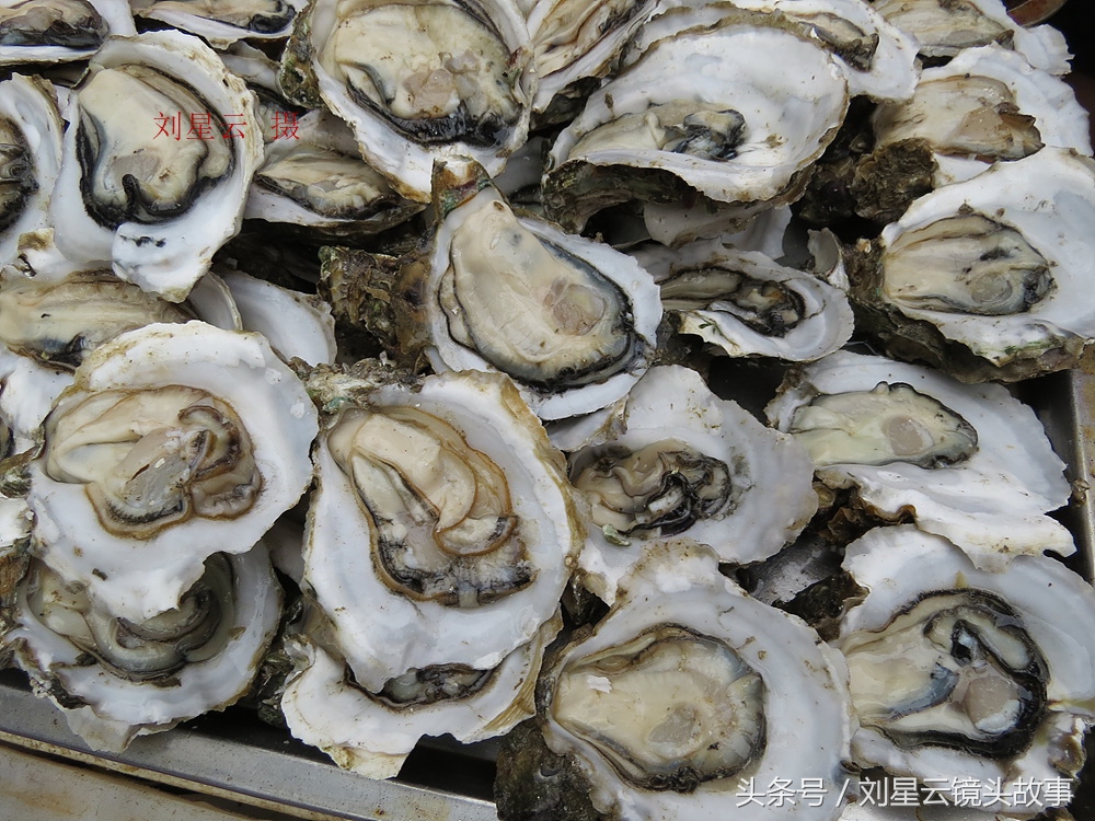 来三亚旅游想吃带壳的海鲜，不当冤大头，要有智慧善挑选和会安排