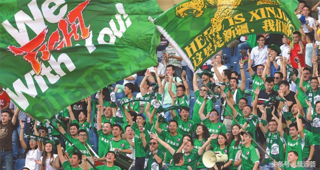 雪豹返回南京,雪豹大结局归家