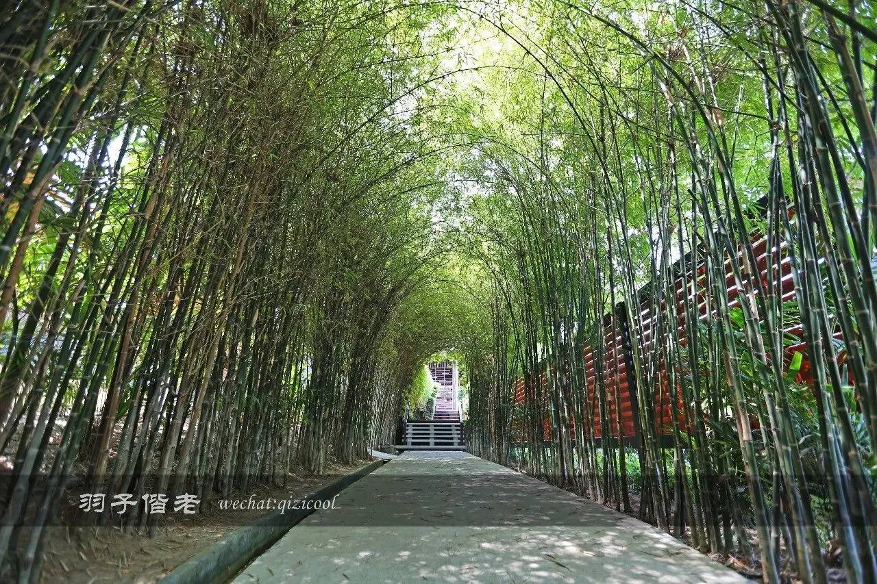 苏梅岛西方最佳度假村,苏梅岛酒店攻略