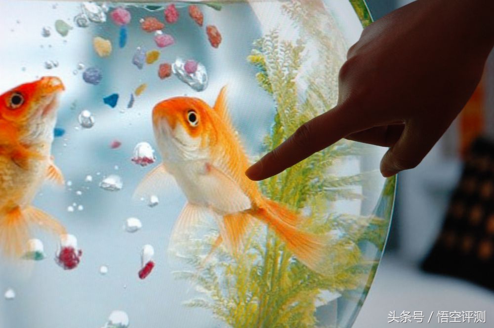 微鲸42寸电视,微鲸电视55英寸