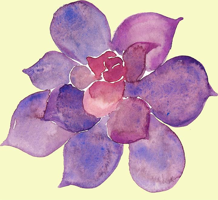 多肉植物如何防治病害,多肉植物病害处理视频