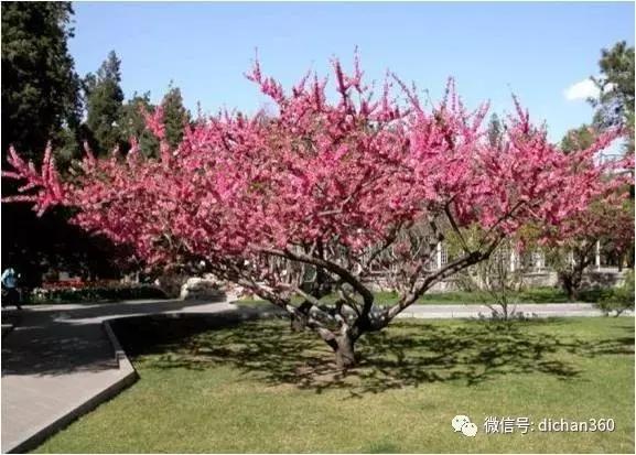 涓囩浜戠繝闅愮宸ヨ壓宸ユ硶,涓囩绮捐宸ヨ壓宸ユ硶