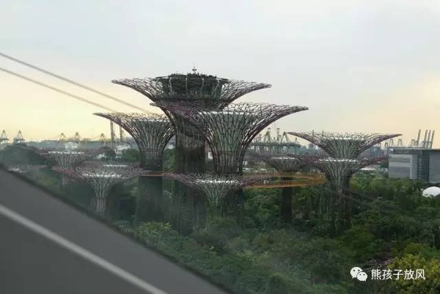 带孩子去新加坡游玩三天攻略 (带娃新加坡旅游攻略)