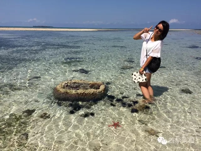 一生必去一次的非洲坦桑尼亚｜回归狂野