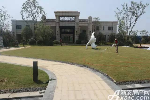 滨湖又一科技豪宅备案！能否成为下一个2万+”日光盘“？