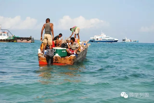 一生必去一次的非洲坦桑尼亚｜回归狂野