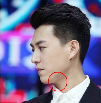 杨幂李菲儿,王鸥和李菲儿