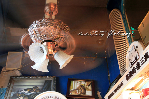 鼓浪屿完整攻略 (鼓浪屿详细攻略大全)