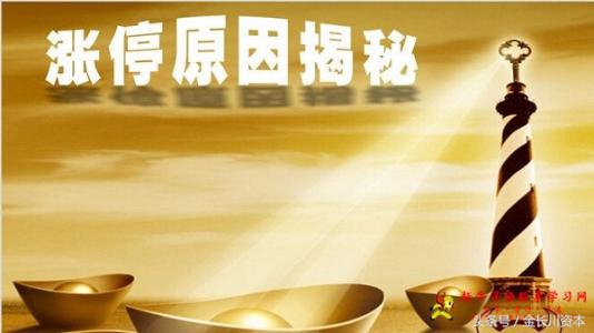 宁波敢死队涨停秘籍电子版,宁波敢死队涨停秘诀