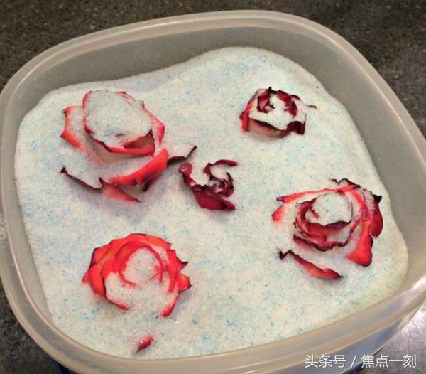 干花怎么样才会制作成功,干花的制作方法有哪些步骤