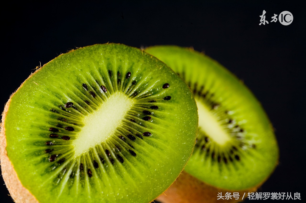 你不知道的我知道的冷知识,你不知道的冷知识歌曲