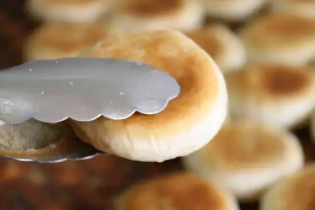 西安好吃的网红,西安最好吃的网红店