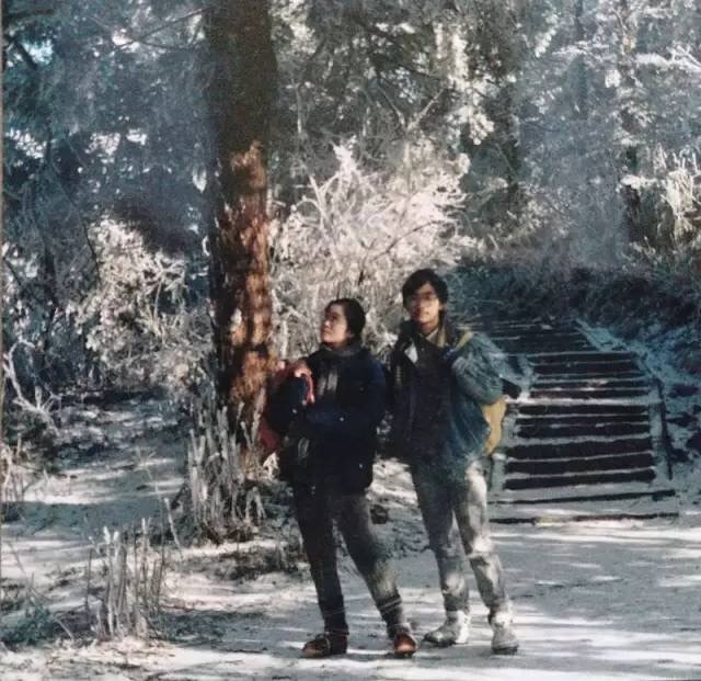 太多人读得懂风花雪月,读懂风花雪月却走不出沧海桑田