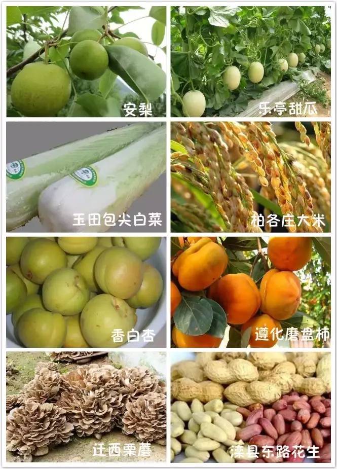 一封辞职信火遍整个日照,又一封辞职信刷爆朋友圈