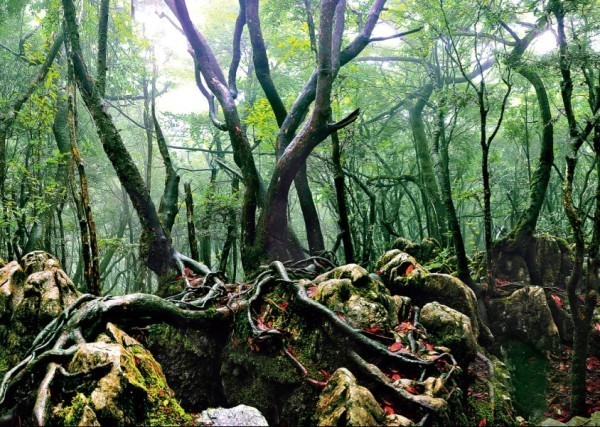 成都电影拍摄地打卡,重庆成都取景地