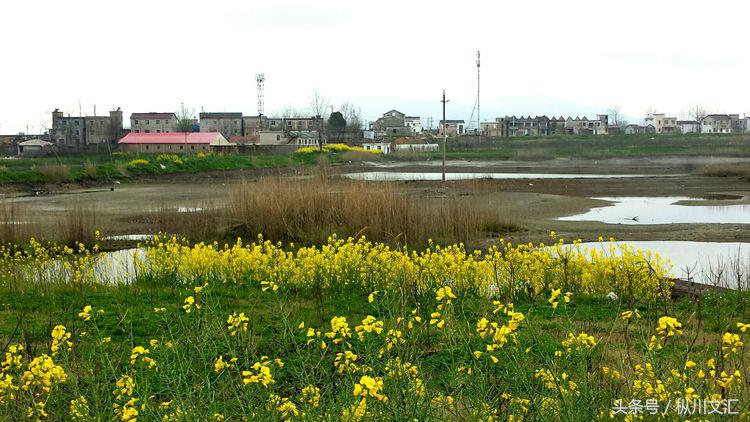 鏋炲窛灞辨按,鏋炲窛