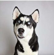 我跟B超杠上了！这一篇是专业性很强的文章！