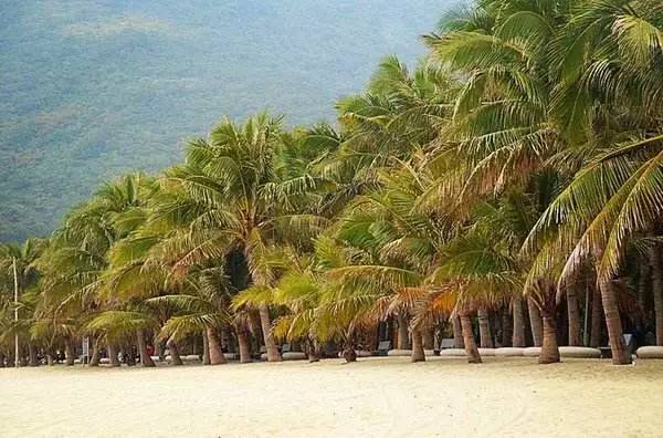 广东最好玩的海边排名,广东最好玩的免费海滩前十名