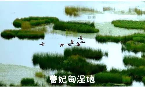 一封辞职信火遍整个日照,又一封辞职信刷爆朋友圈