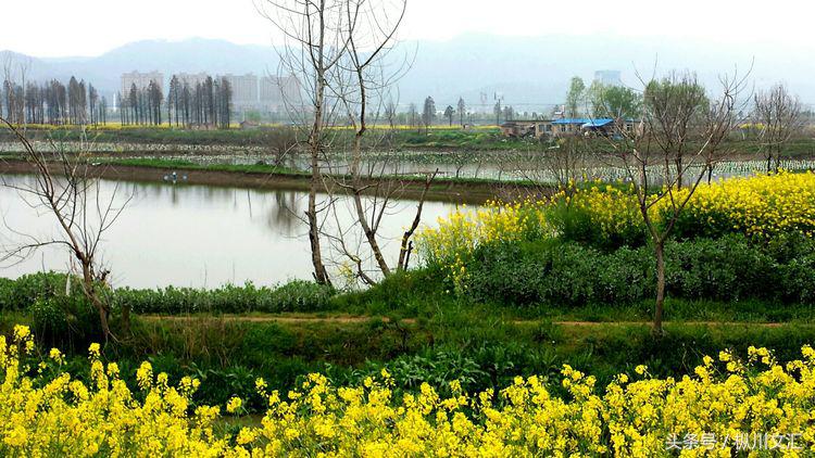 鏋炲窛灞辨按,鏋炲窛