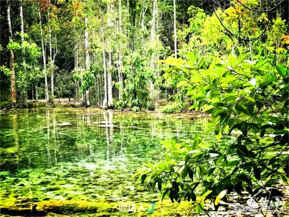 显然不适合玩婚内出轨！全泰国最大的泳池原来在这里