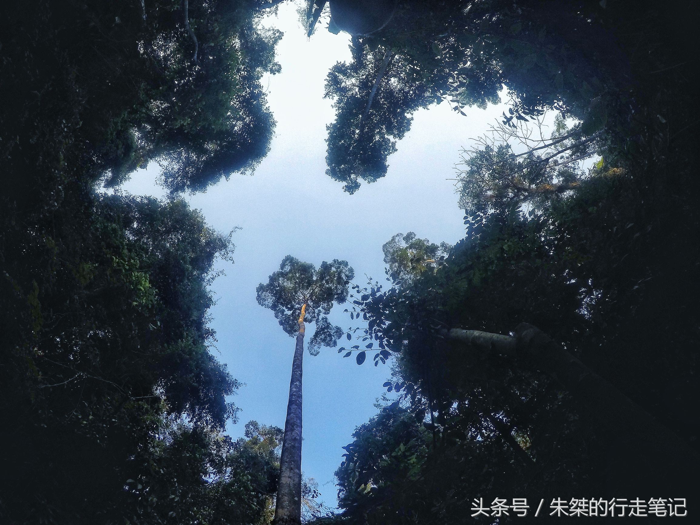 版纳颈椎治疗,西双版纳治疗颈椎好的按摩仪器