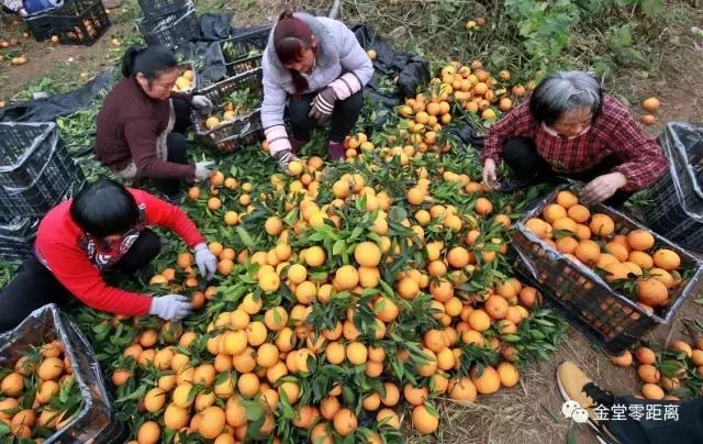 金堂云顶山一日游攻略,金堂旅游攻略一日游价格