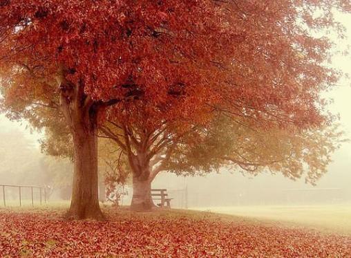 史上最完整的芦荟胶使用大全,正在用芦荟胶的你还不点进来看下