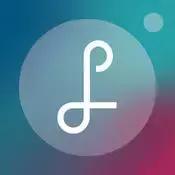 铲屎官拍同款,铲屎官的建议