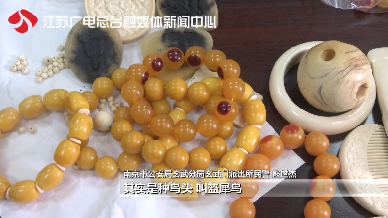 特大贩卖动物案,贩卖动物大案