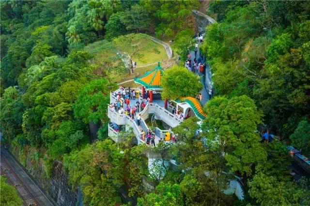 香港tvb的发展历程,香港tvb怀旧之旅